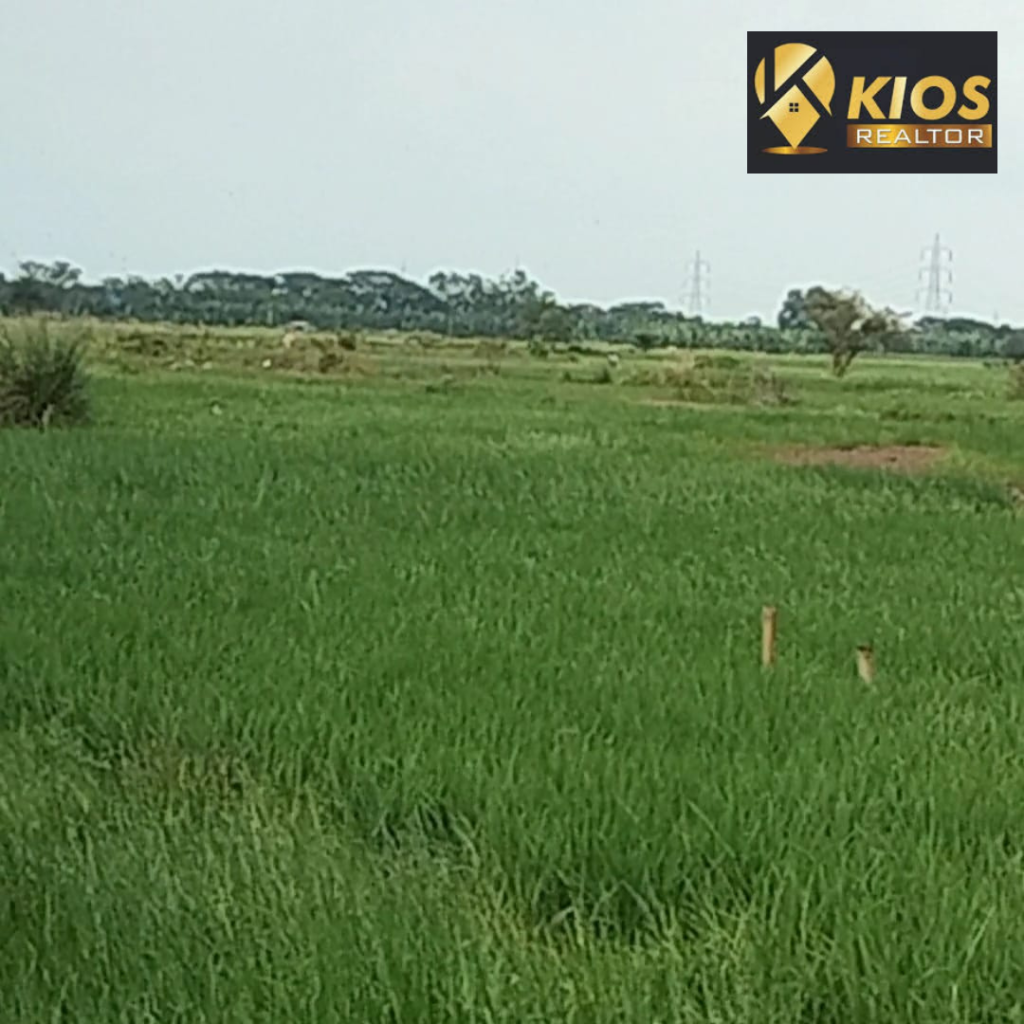 land1